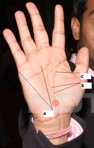 Lines indicating his reserved nature, marriage for fame to Aish, and attachment towards parents